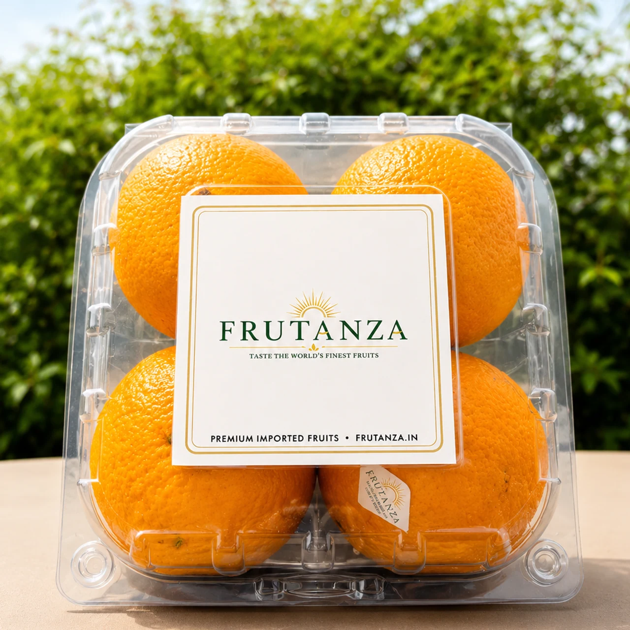 Egyptian Valencia Orange