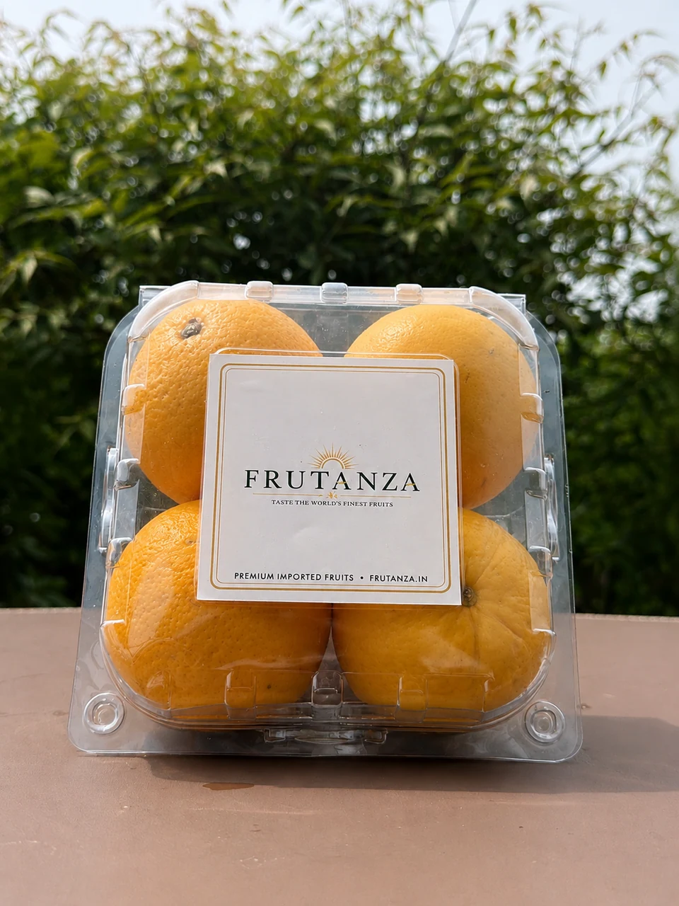 South African Valencia Orange