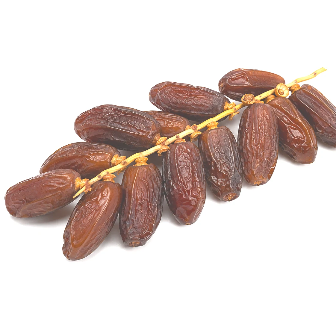 Deglet Nuor Dates (Branches)