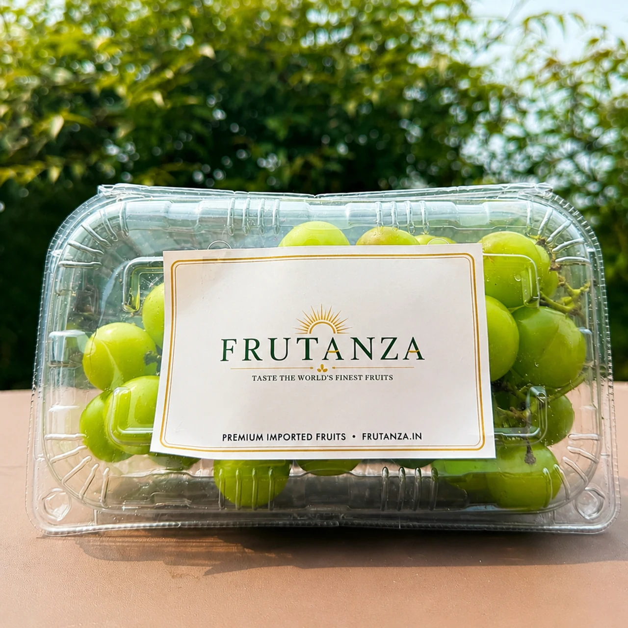 Shine Muscat Seedless Grapes