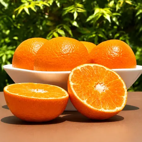 Nadorcott Mandarins