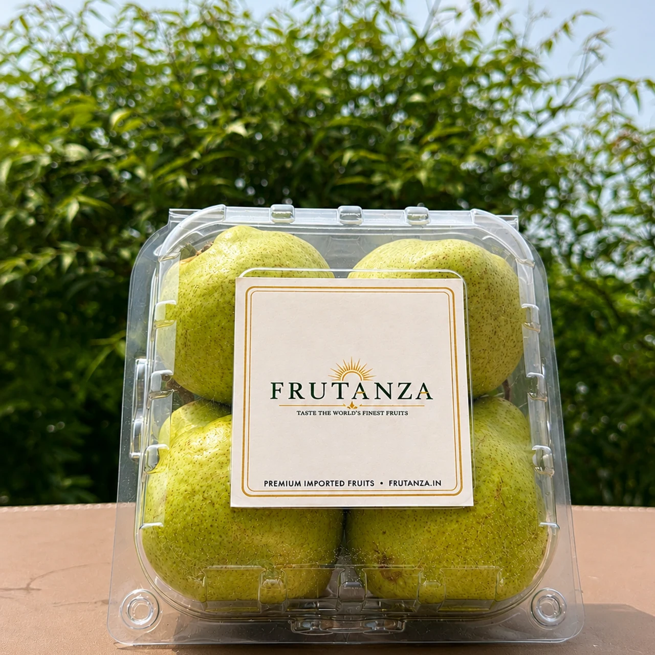 Packham Pears